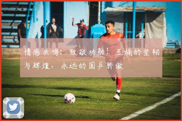 情感共鸣：致敬功勋！王楠的坚韧与辉煌，永远的国乒骄傲