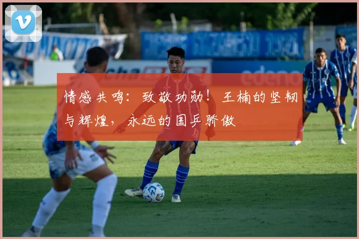 情感共鸣：致敬功勋！王楠的坚韧与辉煌，永远的国乒骄傲